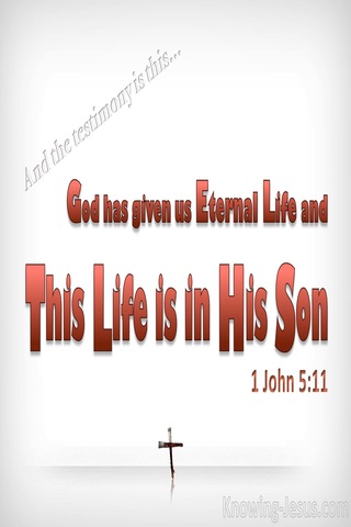 1 John 5:11 This Life Is In His Son (white)